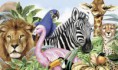 /album/animales/images-2-jpg/